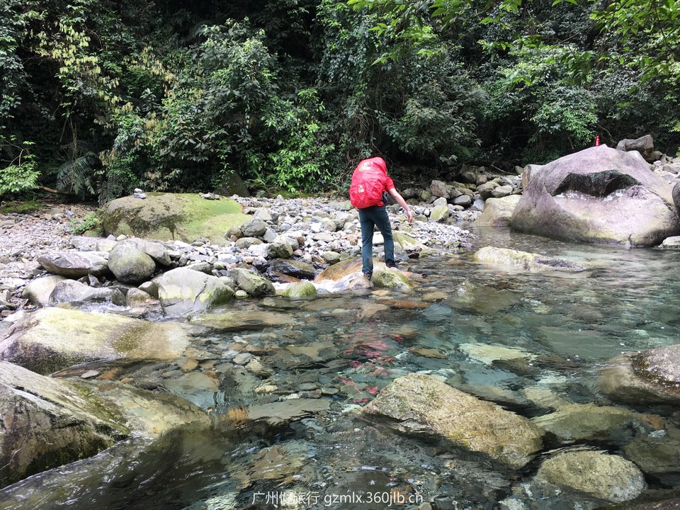 cf8b61f42704d86241023a43558abb5c_org