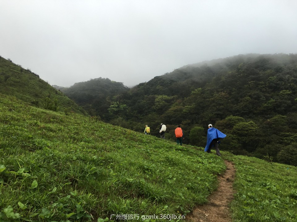 cffb06eb3630926d7db32d7bda0cc2dc_org