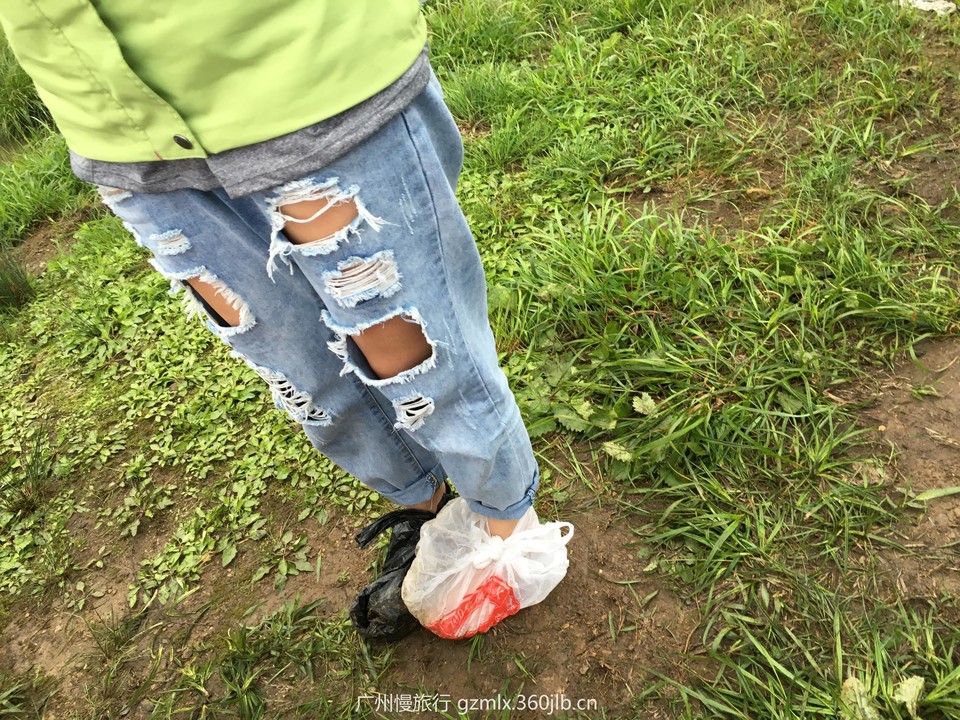 d6210ee144c10607a4103b6c2d0f1917_org