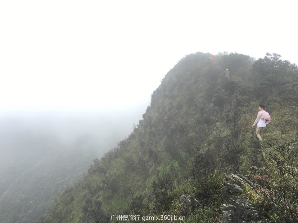 e2c55475d5468d592f0413b4058f897c_org