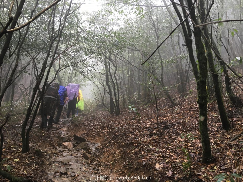 e7b80ee4c2062e96e28a53877381a6b5_org