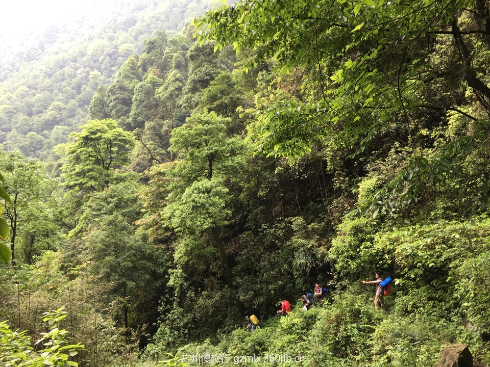 e9e86c4e52dfbe071f6280ef432af45a_org