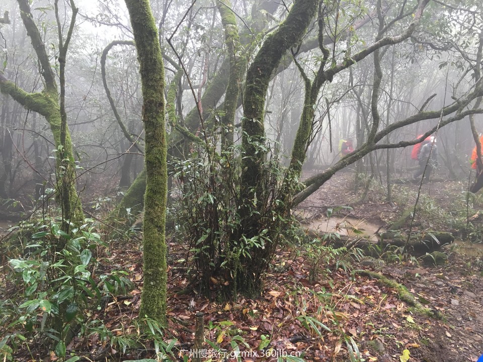 e57c320812074701ee0b11983a743ce6_org