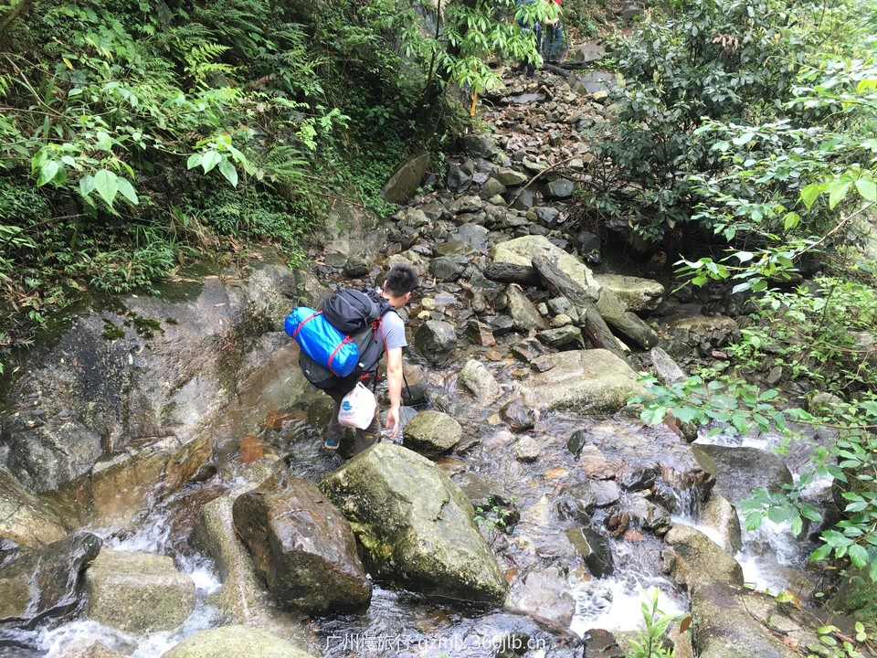 ea286a1753628b4b78689e29ec2150e9_org