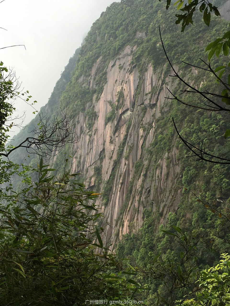 ed2f60143354085eb6d6788d5deefaf8_org