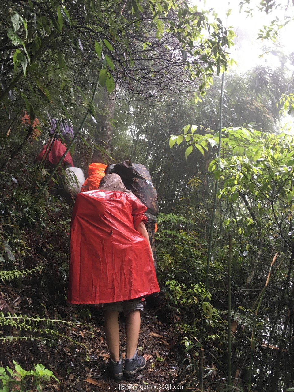 ed4f3c8310f7a3dc903f7a35892600c3_org