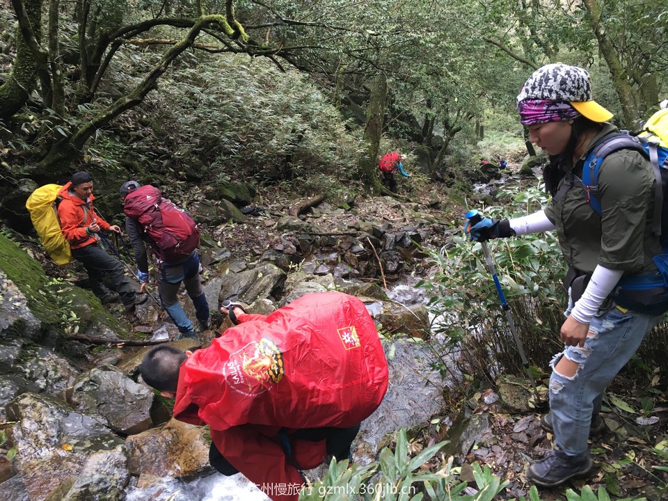 edbd64868ed5cba294a9db77ce26741c_org