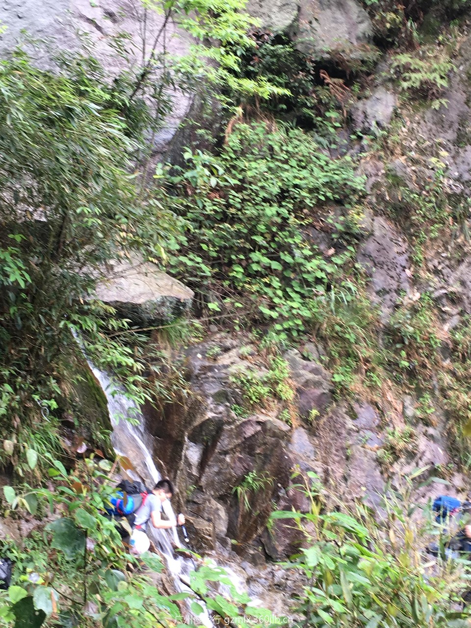 faa534507b69116d9249ff04e4987d3b_org