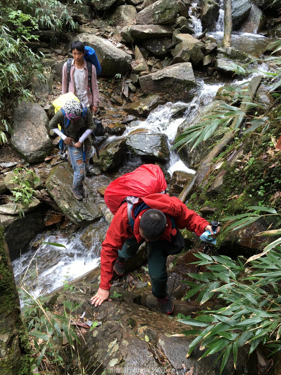 fd397a9d0d07eedc5dfb167af7f6d8e3_org