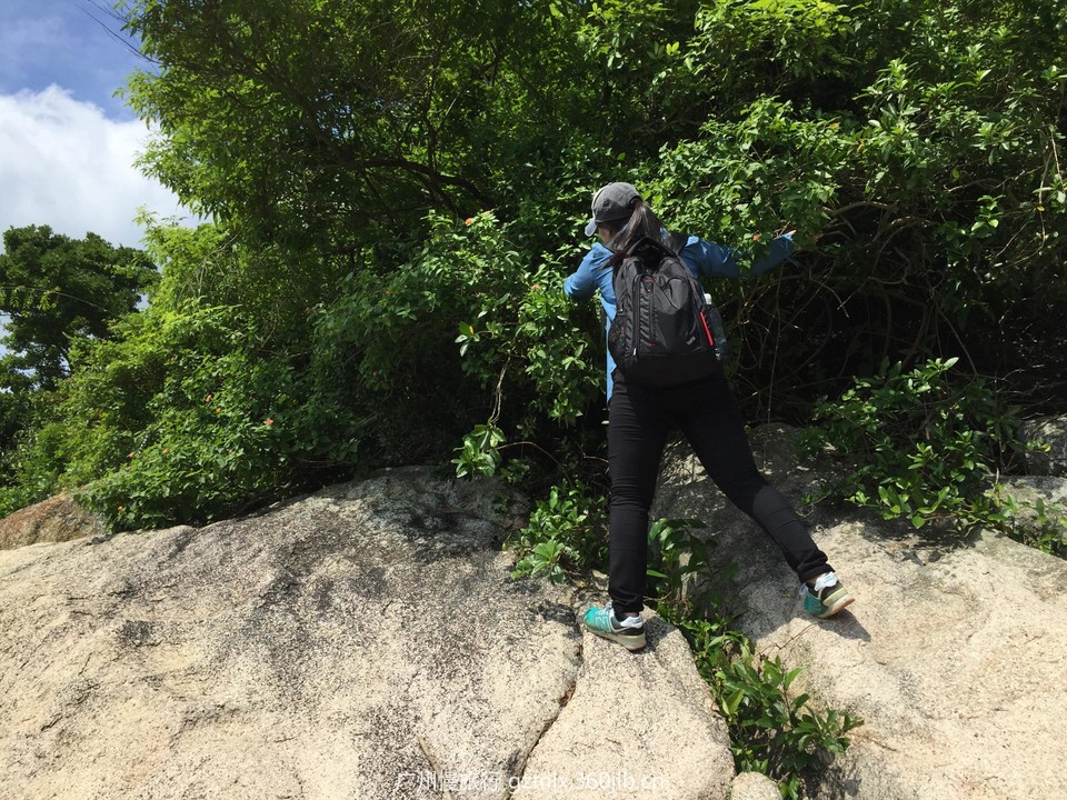 1cf28458d15e8e9ce2b6f361f4b2438a_org