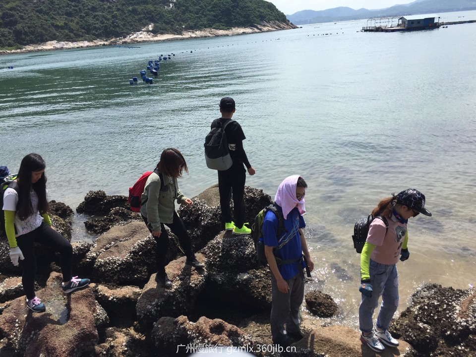 4f71b8785549709d532b6b13980a34d9_org