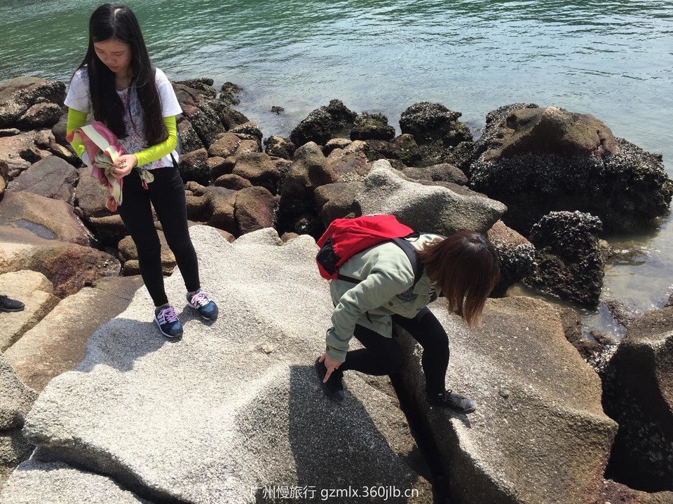 942682d6444d339b357099e8dd390764_org