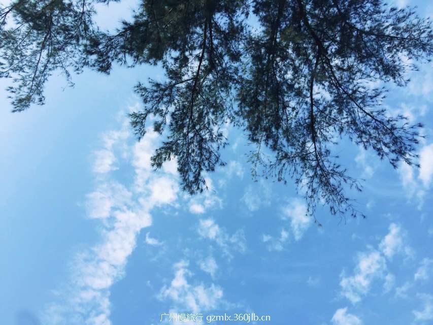 a751dc2d69d7c7a1f495bc816529da6d_big