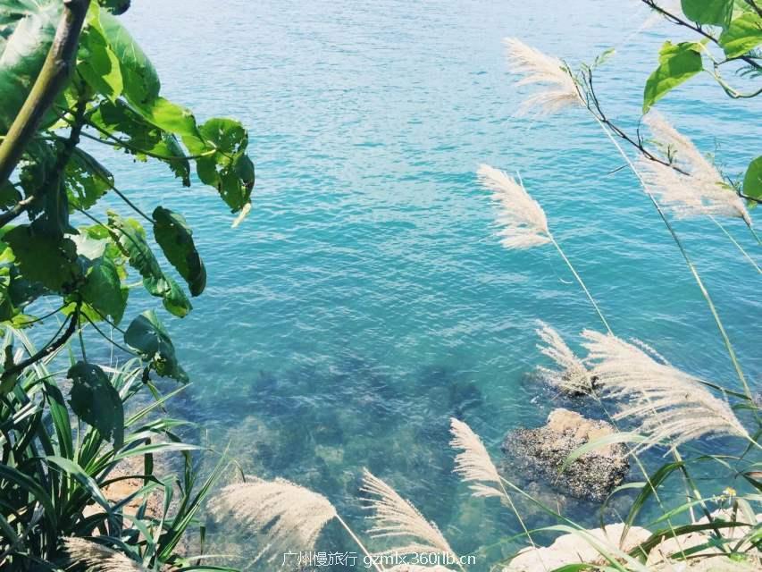 b1dc67b77be74a32b14313a8a318a9eb_big