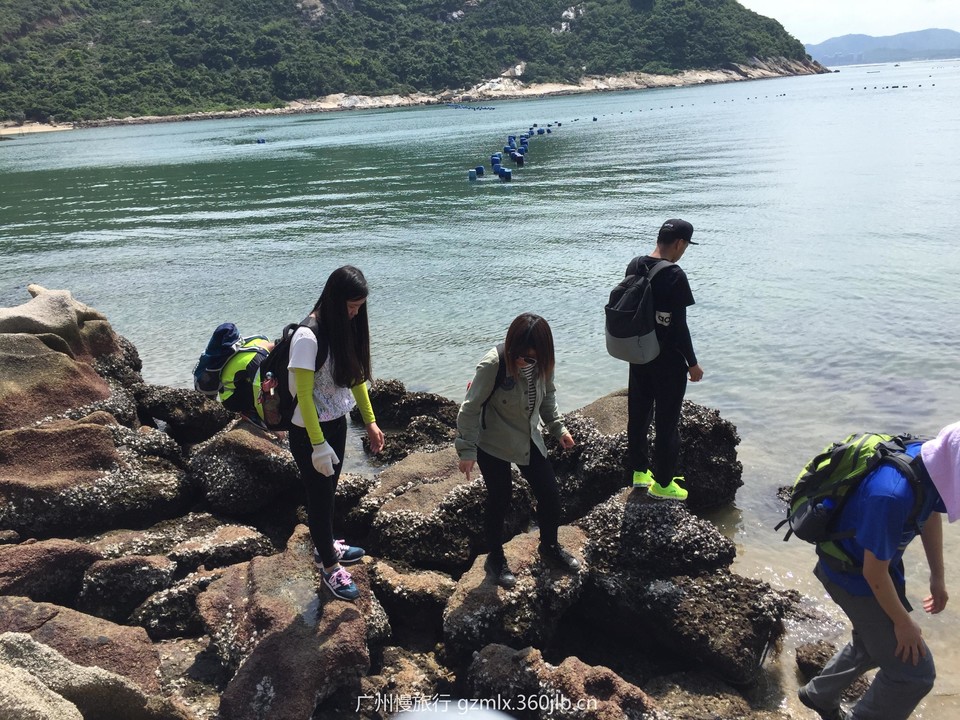 c8c2626f3531d749b8c7cbc72c72fba0_org