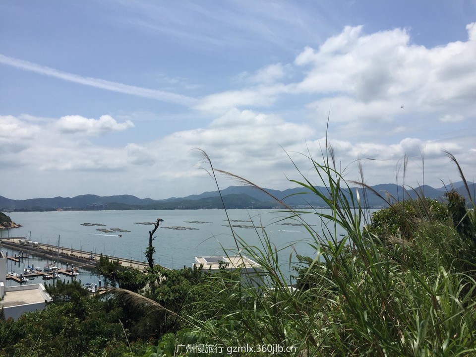 ce404f31c9d9ca2344ad77522459fee9_org