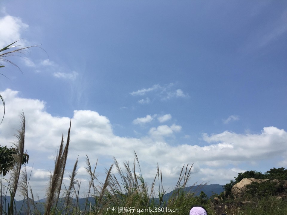 dce7489b97b8d291d1f45795e6e5b4a2_org