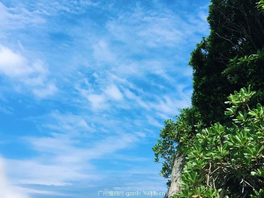 ed2d173ff35f038f2941362cf9ea0e2d_big