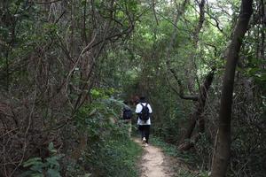 0元.【龙渔线】11.9/周日丨市内经典拉练路线-龙渔线13Km徒步