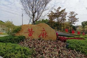 0元.巧克力领队【长岭步道】11.12/周三丨黄埔长岭登山步道13公里、入门级徒步拉练