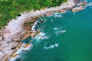 成团.【东西冲】周六出发丨深圳最美海岸线徒步、天文台栈道赏无敌海景