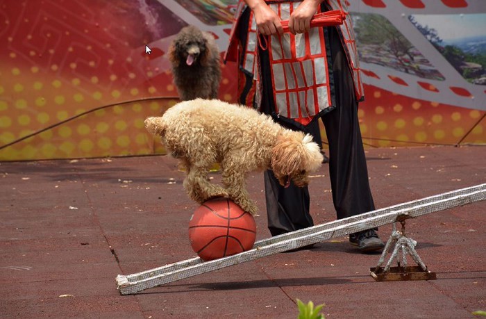 http://img.saihuitong.com/3303/img/117409/middle/1566c3dc269.jpg-w930