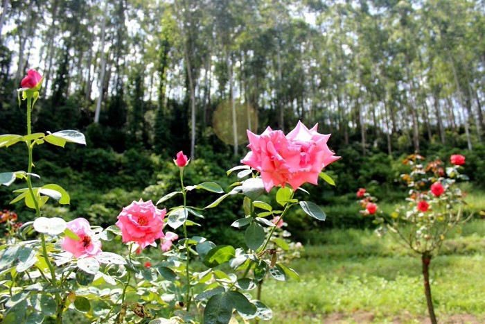 http://img.saihuitong.com/3303/img/142215/middle/156748d6201.jpg-w930