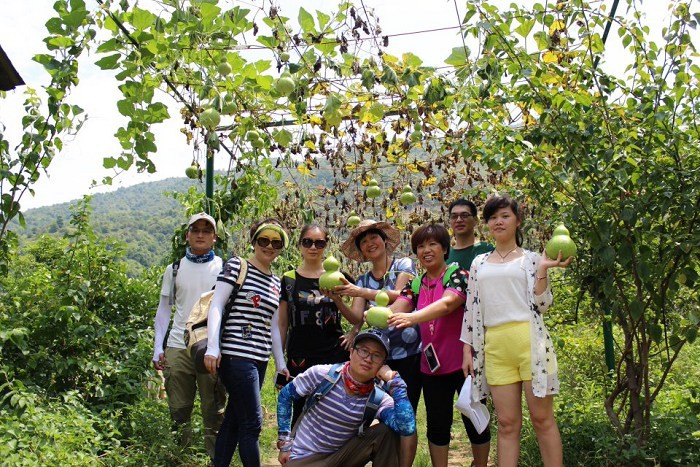 http://img.saihuitong.com/3303/img/142215/middle/156748d645e.jpg-w930