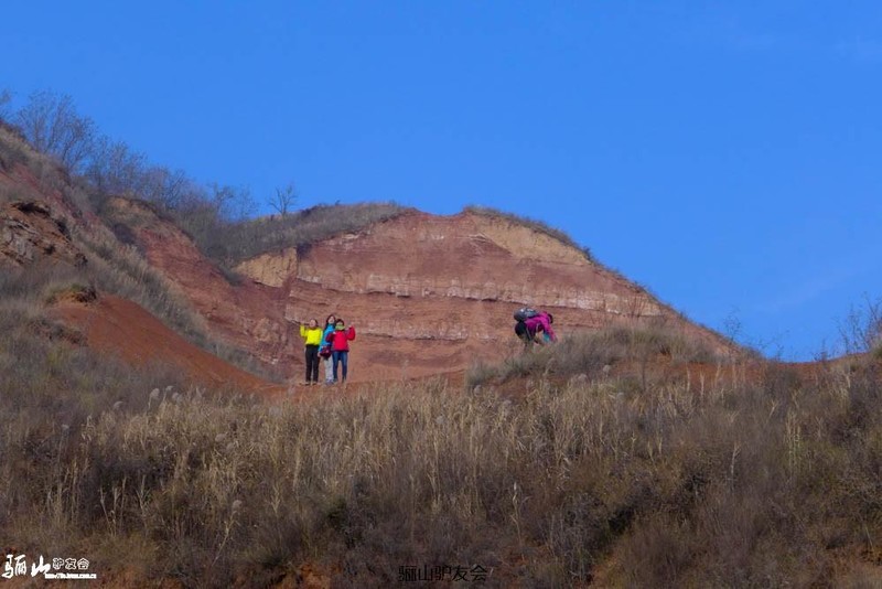 L1110262.jpg