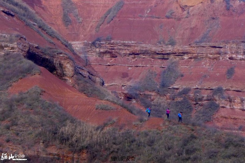 L1110271.jpg