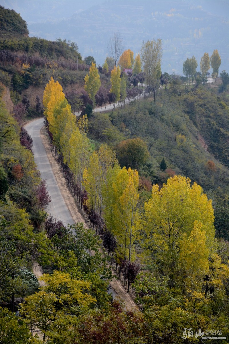 DSC_3678.jpg