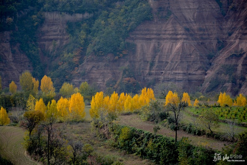 DSC_3687.jpg