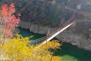 【骊山驴友会】11.7周六“黑河峪-木藤寨”赏红叶一日游