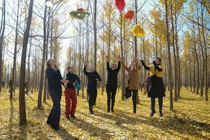 【骊山驴友会】11.8周日汉阳陵银杏林+茯苓小镇一日休闲