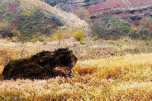 12月2日（周三）走进临潼的千亩芦苇荡，探红岩村红岩奇观，寻找传说中的刘秀炕