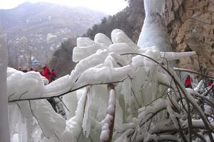 【骊山驴友会】元月9日流峪飞峡观冰瀑布一日游