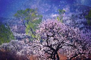 【骊山驴友会】3.19（周六）看骊山最美杏花谷，走骊山最美五道梁