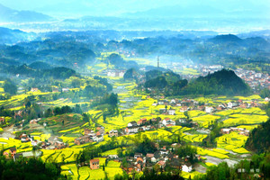 【骊山驴友会】3月26日~27，第二期30-31日汉中南郑赏油菜花.诸葛小镇  武侯祠  休闲二日游