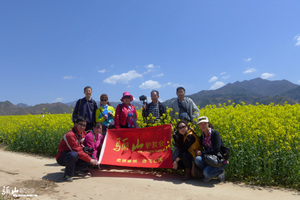 【骊山驴友会】刘家山-桐峪梁赏玉山花海休闲一日游