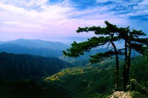 【骊山驴友会】5月8日 母亲节登顶第一孝山-王顺山，赏千年杜鹃