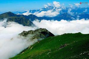 【骊山驴友会】6月15日（周四）走进华阳高山草甸 赏秦岭之巅草原风光休闲一日游！