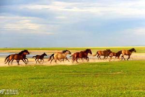 【骊山驴友会】2016年7月16日东北大环线“边边游”18天