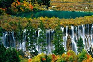 11月17日—20日 九寨沟+黄龙+青木川 特价四日活动