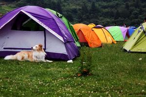 5.20-21骊山驴友会龙河石榴庄园首届帐篷节