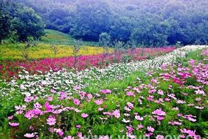 【骊山驴友会】9月9日赏宜君花溪谷 金锁关玻璃桥休闲一日游