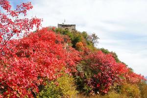 10.19圭峰山醉美红叶只等你来