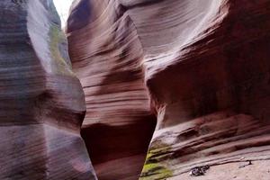 4月30【奇幻光影·猫巷大峡谷】+ 永宁古寨 + 三台山+户外礼物休闲2日游260元