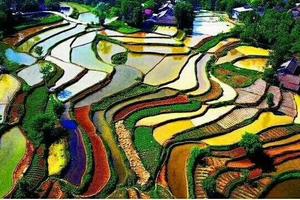 【骊山驴友会】6.9-10宁强第三期《龙潭天坑+壁挂公路+草川石林+彩色梯田》两日游！