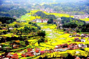 【汉风花海·真美汉中】3月28-30日行摄汉中油菜花