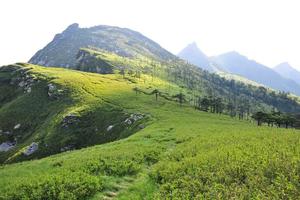 秦岭峰景线全年25期招募
